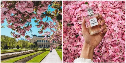 Paris : une exposition Chanel gratuite s’installe au Jardin des...