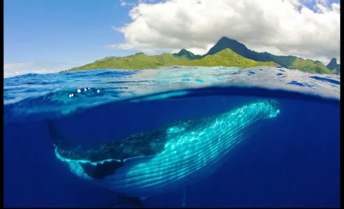 Le Sénat propose une exposition photographique « Outre-mer grandeur...