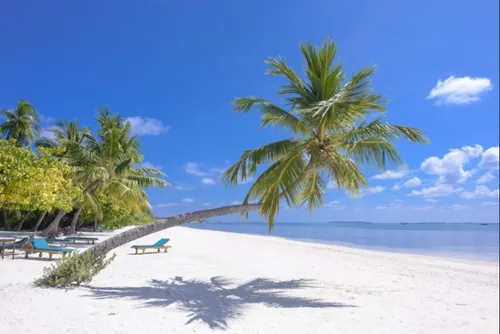 Job de rêve : qui veut devenir libraire sur une île paradisiaque...