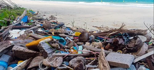 La Thaïlande annonce la fermeture de ses parcs nationaux plusieurs...