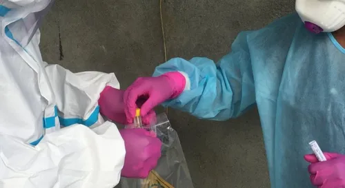 Covid-19 : 80 000 tests antigéniques déployés en Martinique