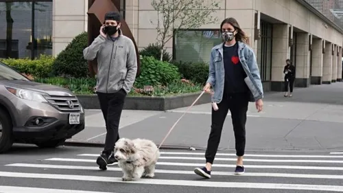 Coronavirus : promener son chien augmenterait de 78% le risque...