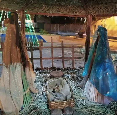 Une femme découvre un chien en train de dormir dans une crèche de Noël