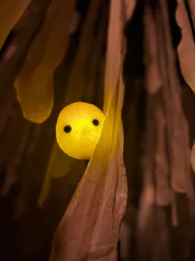 (é)Mouvoir - Cie Entre eux deux rives