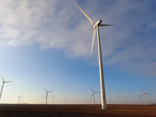 🔊 Des mesures de protection des chauve-souris insuffisantes sur...