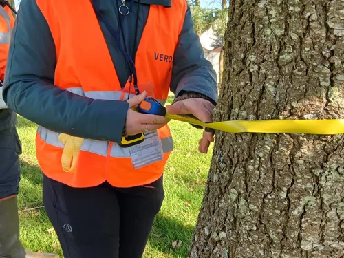 🔊 Luisant fait un inventaire de son patrimoine arboré