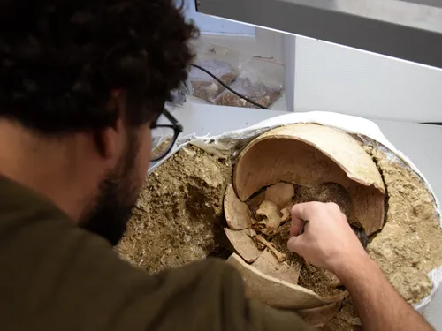 Les sites archéologiques de Toury et Chartres s'ouvrent au public