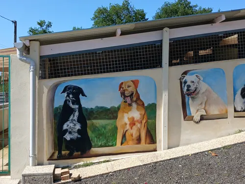 🔊 60 ans pour la protection des animaux à Châteaudun