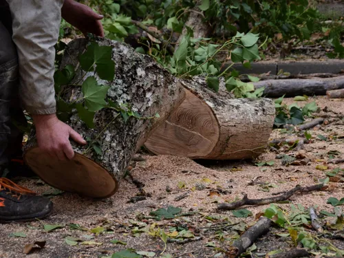 Le Pré Catelan fermé à illiers-Combray après les orages