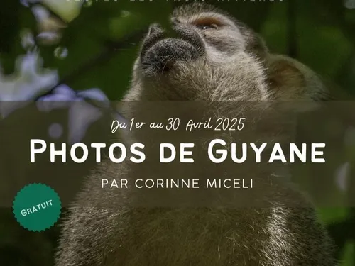 Voyage au cœur de la Guyane avec Corinne Miceli à Cloyes