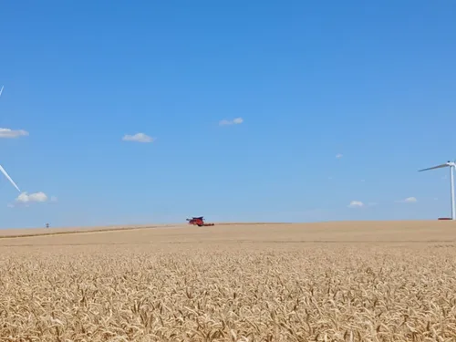 2 500m² de champ brûlé à Unverre