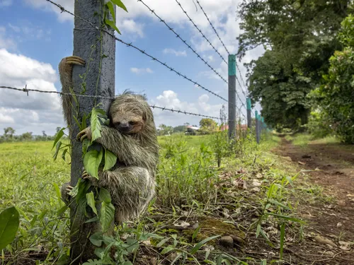 🔊 La photo d'un chartrain parmi les  100 plus belles du monde