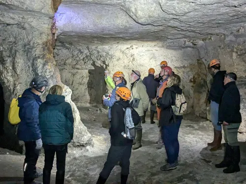 Une soirée avec les chauve-souris 