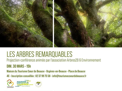 Découvrez « Les arbres remarquables » à travers une...