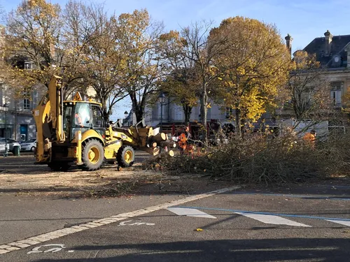 Trois arbres abattus place du 18 octobre à Châteaudun
