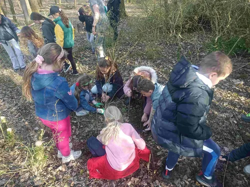 🔊 Une haie plantée par les enfants de l'école de Chaudon sur un...