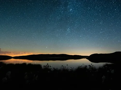 🔊 Et si vous découvriez le perche autrement ?