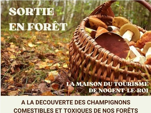 NOGENT-LE-ROI - Sortie en forêt