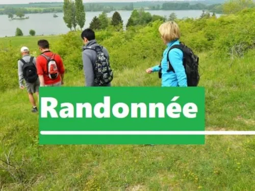 NOGENT-LE-ROTROU - Randonnée pédestre des Randonnées Cetonnaises
