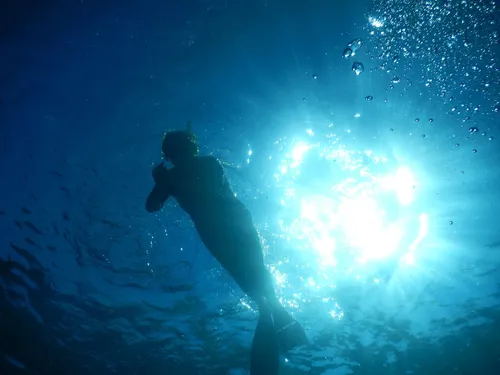 Trois chartrains aux "France" d'apnée