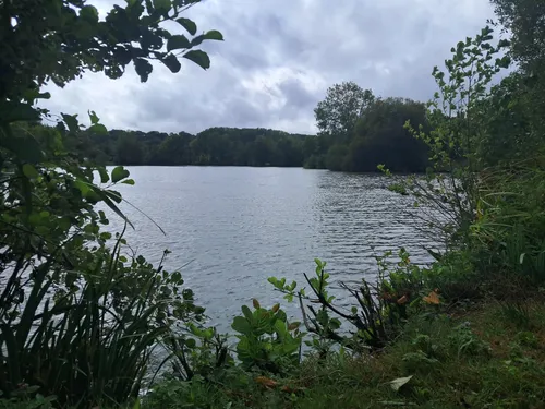 🔊Les étangs de Douy accueillent les finales nationales du Junior...