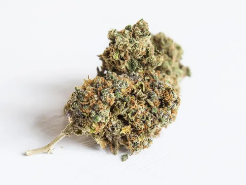 88kg de cannabis saisis dans le coffre d'une voiture à Toury