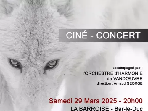 L'invité du jour : on vous dit tout sur le Ciné Concert - Fragments...