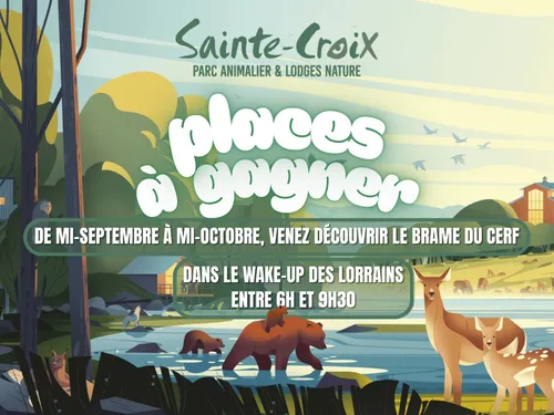 À GAGNER : VOS PLACES POUR LE PARC DE SAINTE CROIX 