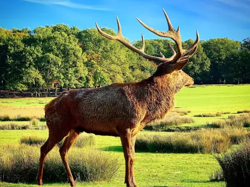 A gagner cette semaine dans le Wake Up des Lorrains : Vos places...