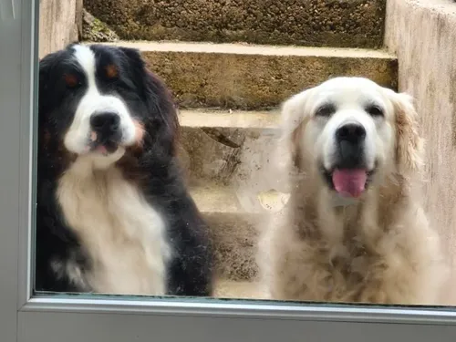 La ville de Metz lance son guide du Toutourisme