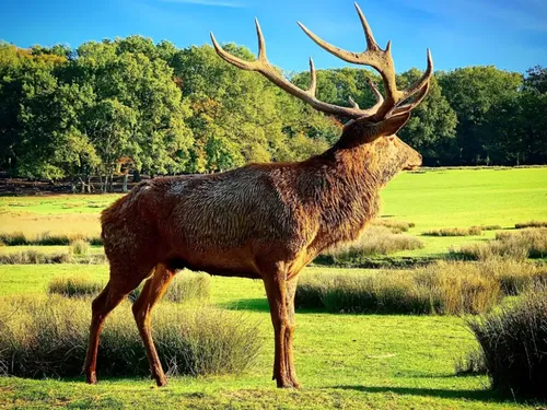 Cette semaine gagnez vos invitations pour le Parc de Sainte Croix...