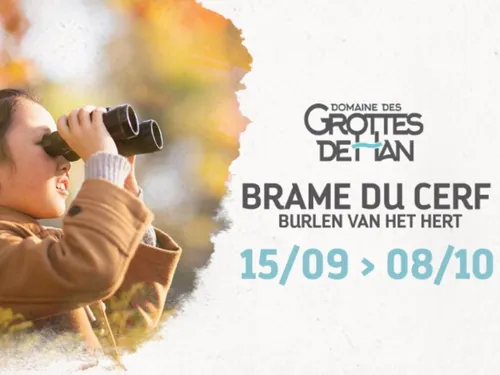 Vos invitations pour le domaine des grottes de Han sur Lesse