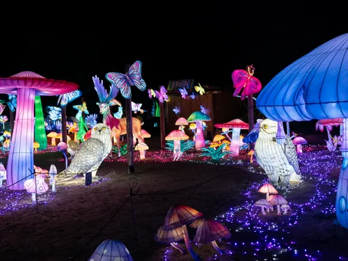 A gagner dans le Wake Up : vos places pour Luminescences et le zoo...