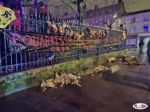 Des cadavres d'animaux devant la préfecture de Haute-Vienne