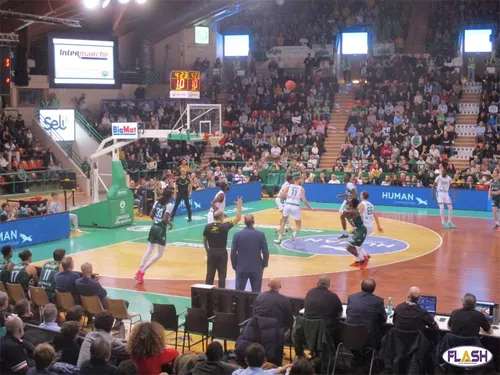 Basket : Contre le Pas-de-Calais, pas de victoire pour le CSP