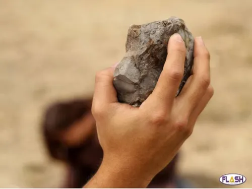 Des jeunes caillassent des voitures à Limoges 