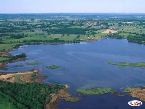 Les 20 ans de la Réserve Naturelle de l'Étang des Landes