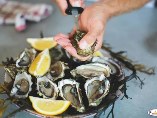 Ne jetez pas vos coquilles après les fêtes !