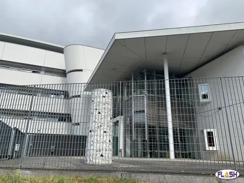 Un chien abandonné plusieurs jours dans un appartement