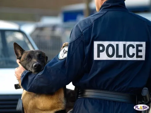 Une course-poursuite à 150 km/h dans les rues de Limoges