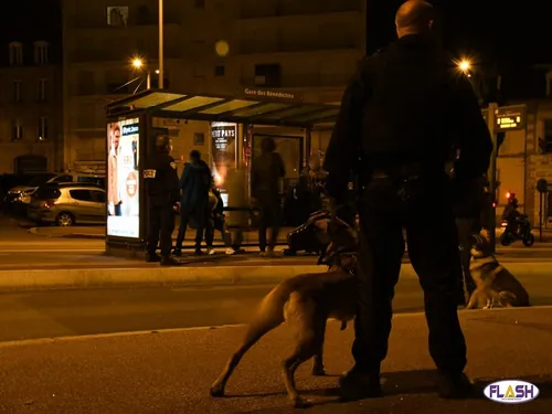 Les chiens policiers de Limoges repèrent deux voleurs
