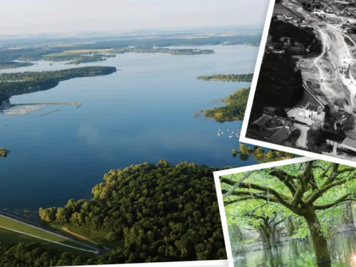 Carte Postale: escapade au Lac du Der