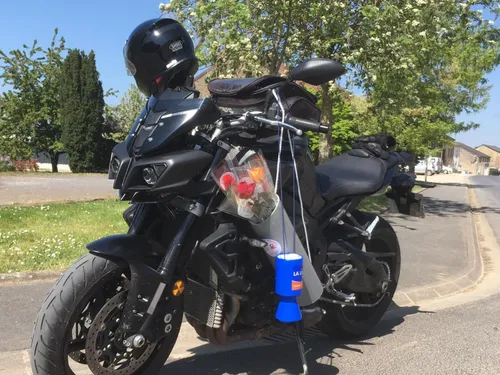 Nouveau succès pour l'opération "une rose un espoir"