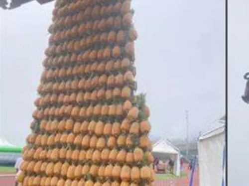 LA REUNION : l'île de tous les records ! 