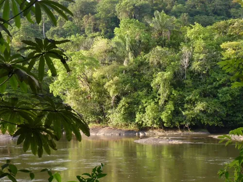 CAYENNE EN FINALE DU PRESTIGIEUX CONCOURS EUROPÉEN CAPITALE VERTE...