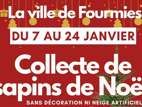 Fourmies : une collecte de sapins de Noël
