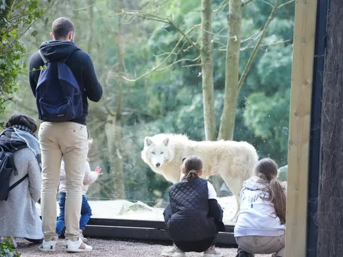Maubeuge - Le Parc Zoologique : des arrivées et naissances prévues,...
