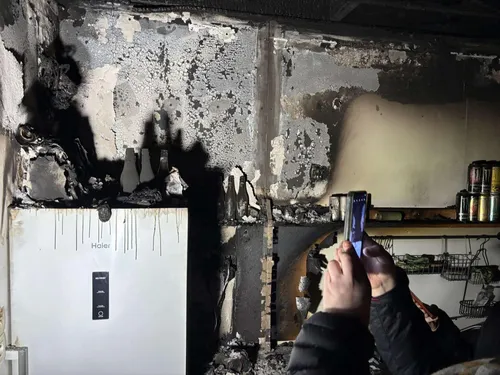 Tiphaine a tout perdu, même ses animaux