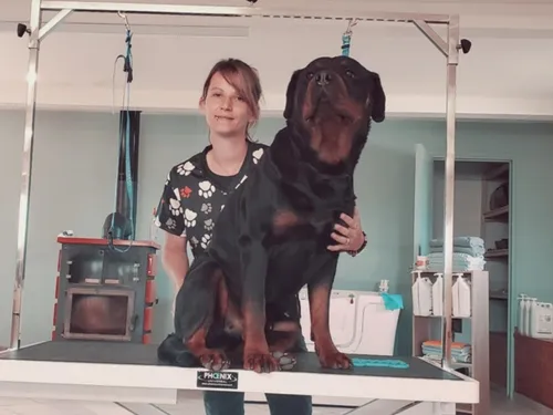 Féron : toilettage, balnéothérapie et pension canine