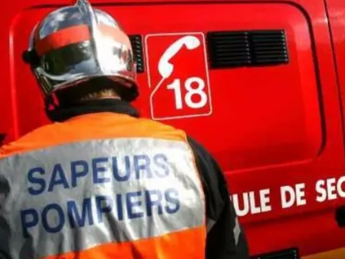 Chimay : 2 corps calcinés retrouvés en forêt